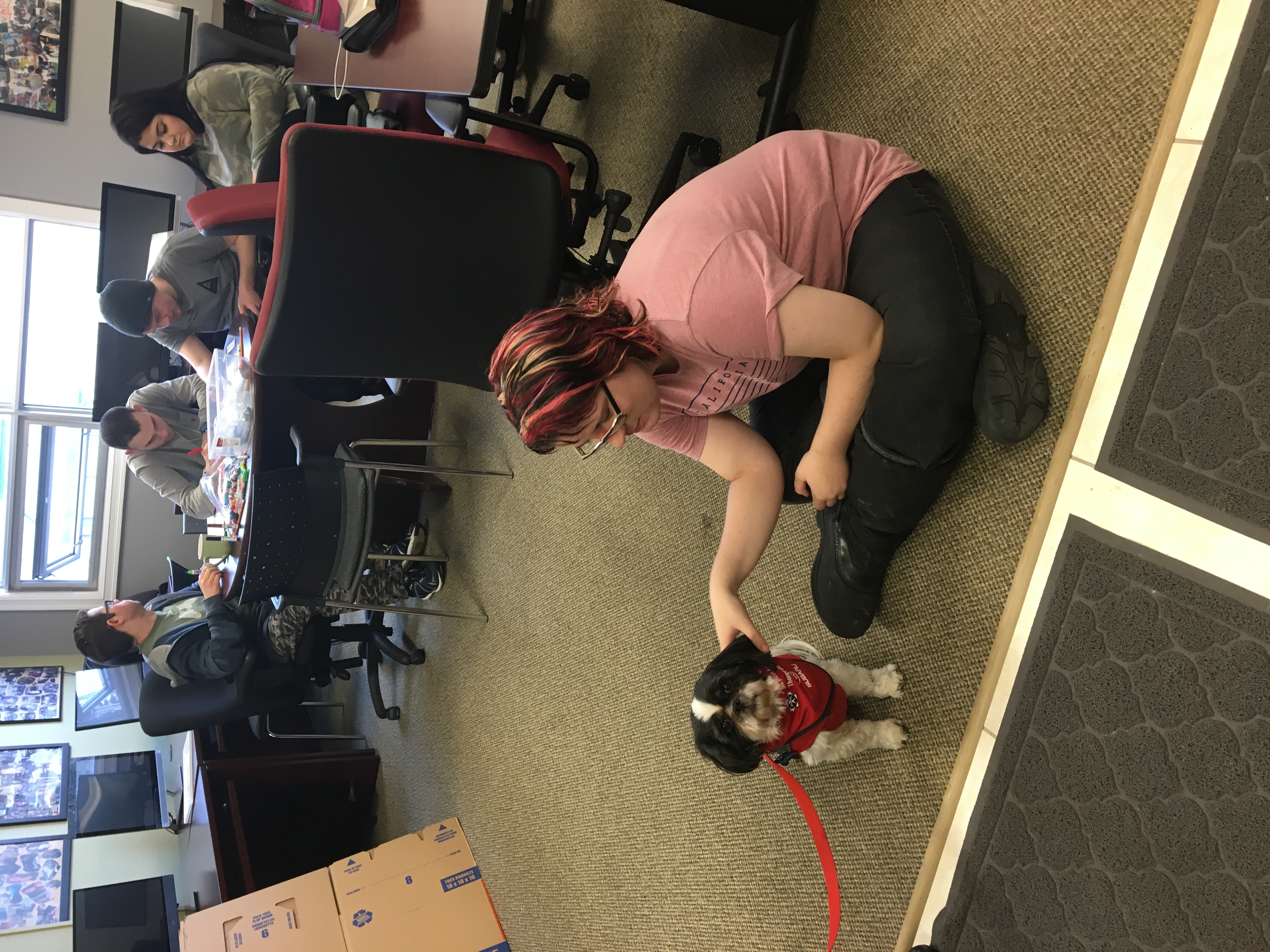 dog2