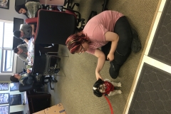 dog2