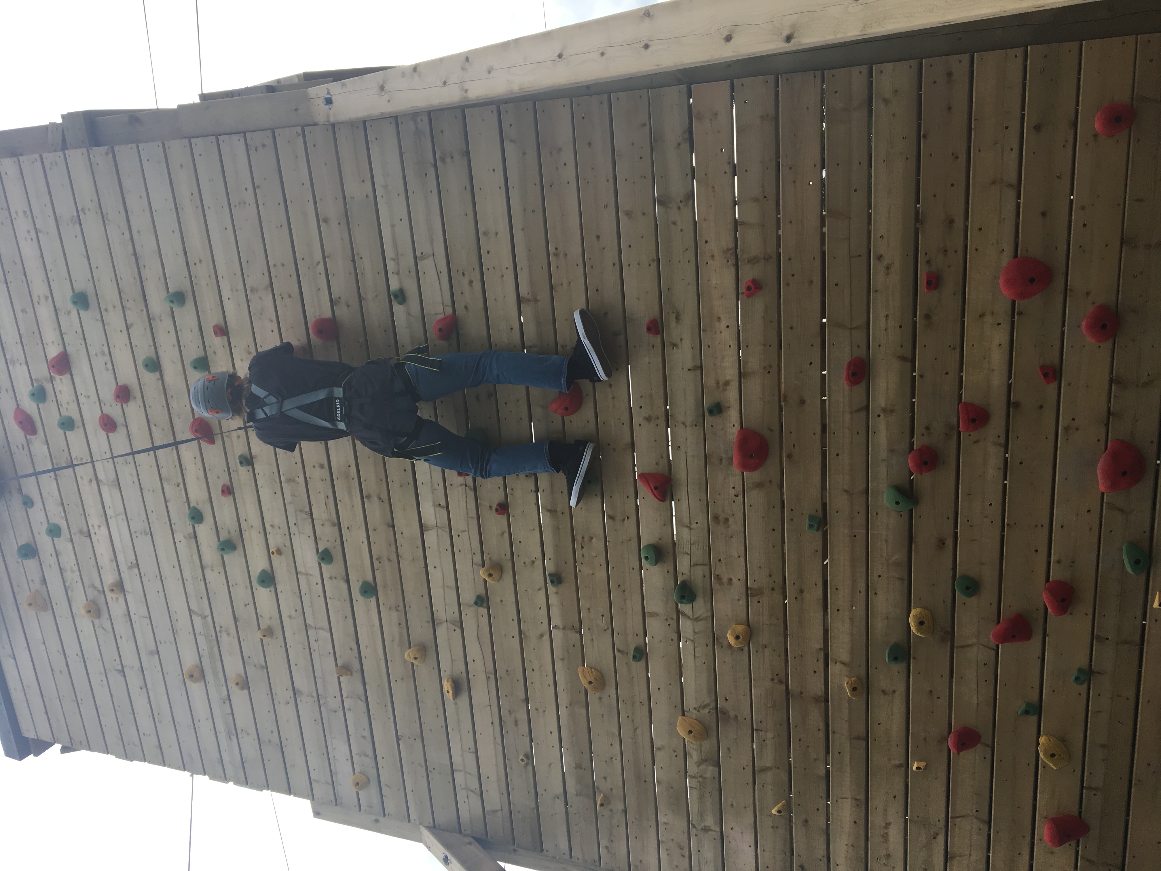 Climbing Wall 18