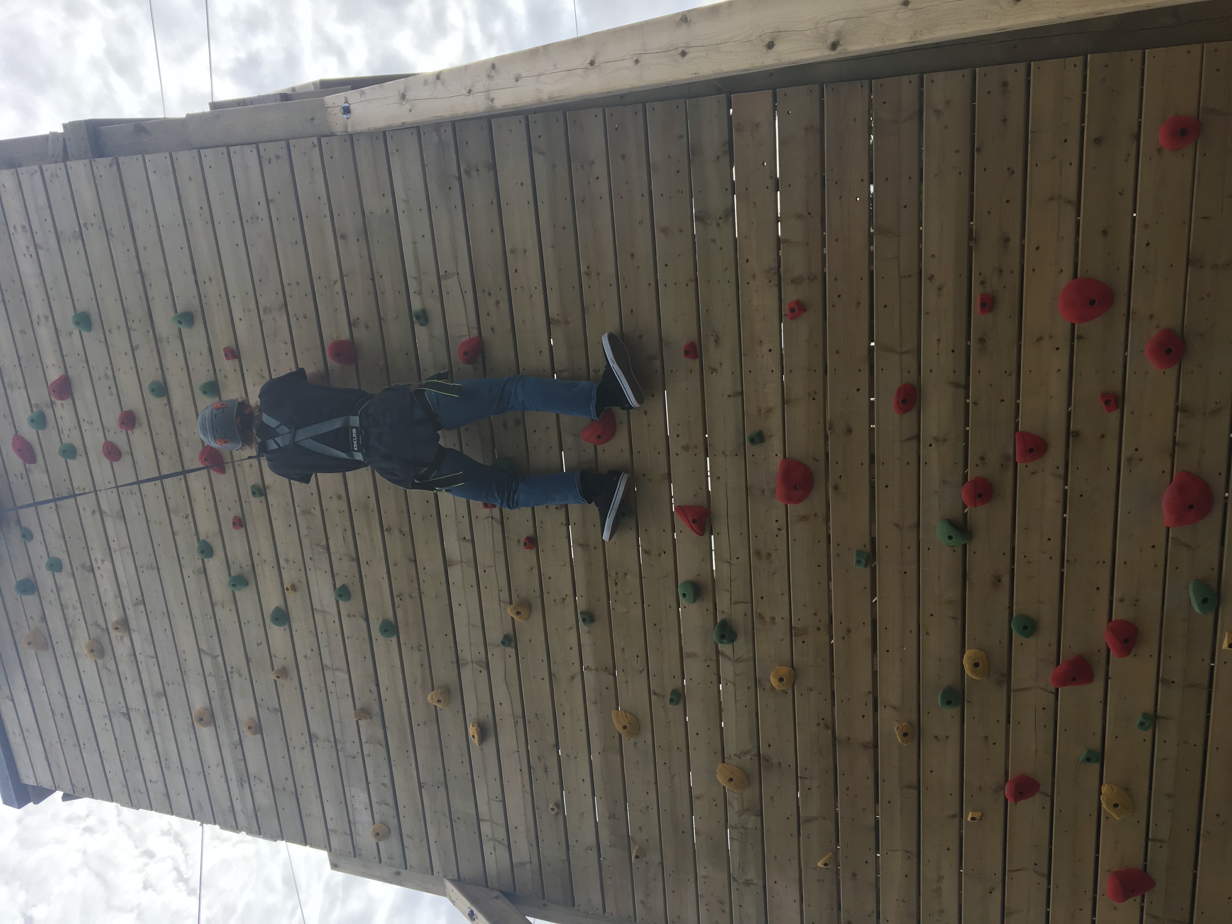 Climbing Wall 19