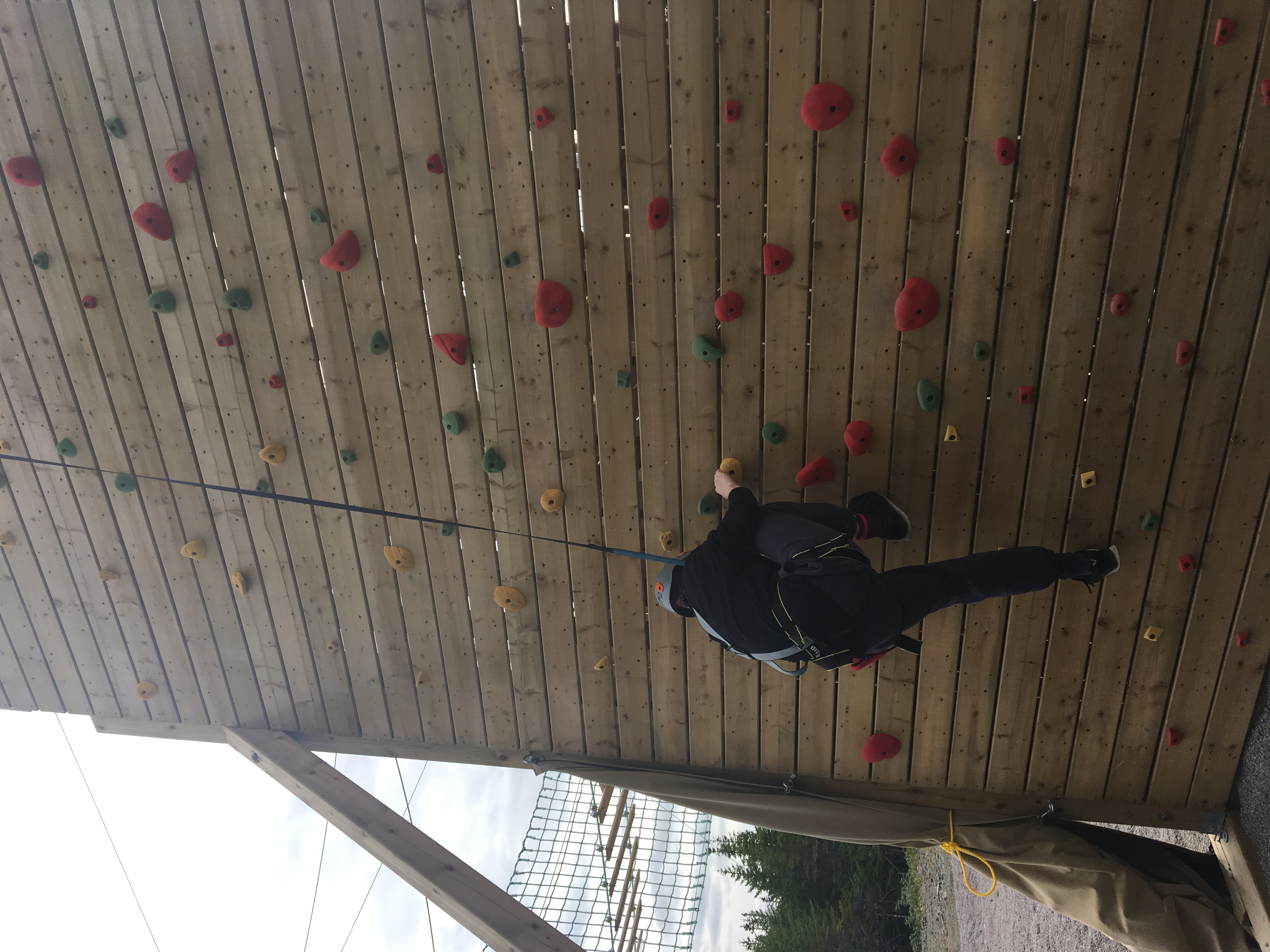 Climbing Wall 24