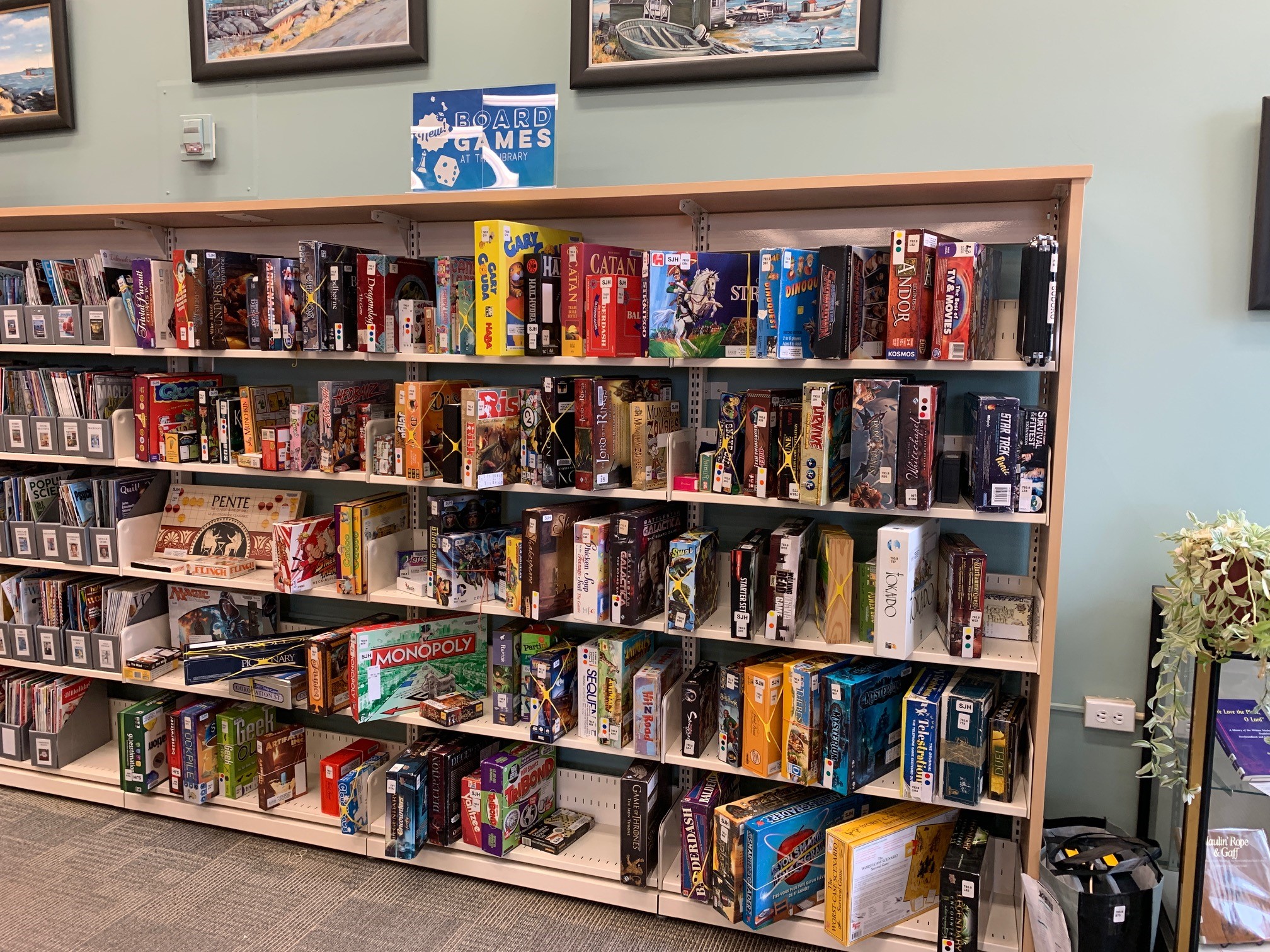 Library-3